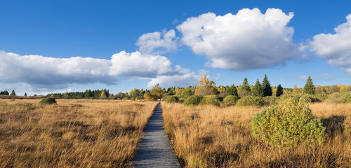 Landschaft mit Holzsteg, Hohes Venn Moor