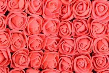 red rose background, close up shot, valentine day concept.