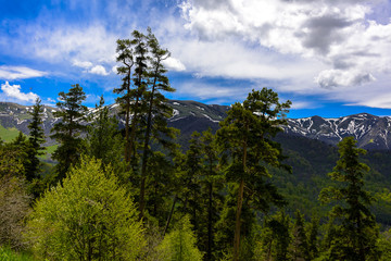 Beautiful mountain landscape in spring