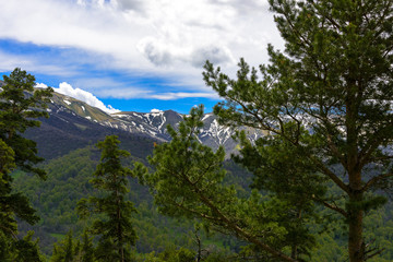 Beautiful mountain landscape in spring