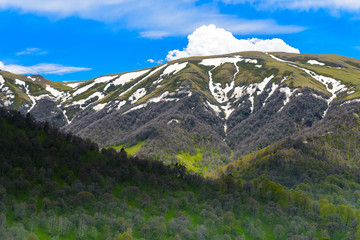 Beautiful mountain landscape in spring