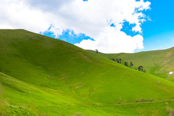 Beautiful mountain landscape in spring