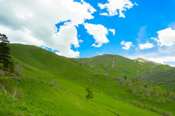 Beautiful mountain landscape in spring