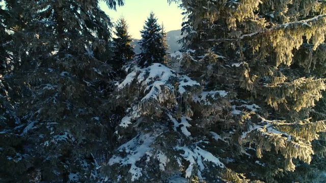 drone in a wintery wonderland.