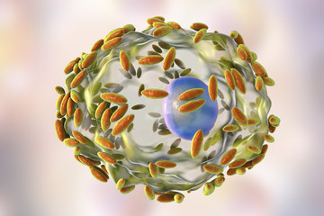 Microscopic diagnosis of bacterial vaginosis. Vaginal secretions contain epithelial cells, so-called clue cells covered with bacteria Gardnerella vaginalis, 3D illustration