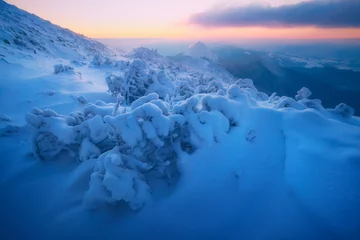 Selbstklebende Fototapeten Dramatic wintry scene with snowy trees. © Ivan Kmit