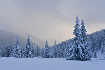 Fantastic winter landscape