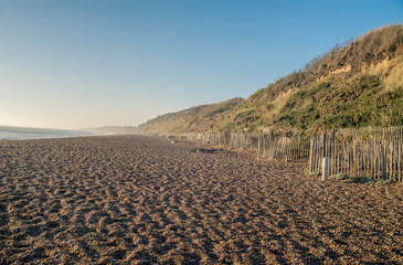 Dunwich beach in the morning.