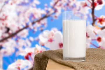 Milk glass on wooden table. Healthy eating concept