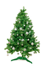 Christmas Tree isolated on white background
