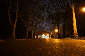 low view of road in park at night lights and trees around 
