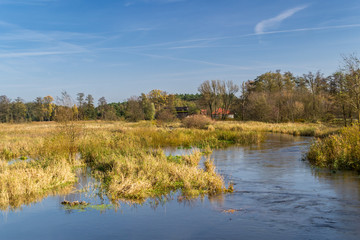 Jesień nad rzeką Grabią, Polska © Senatorek