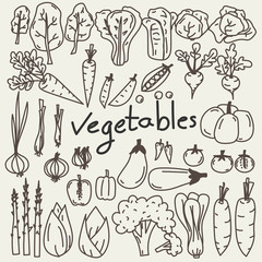 Obraz premium Set Of Hand Drawn Vegetables Doodles.
