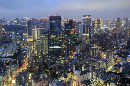 Tokyo skyline in twilight