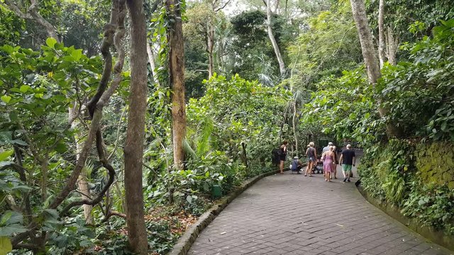 Tourists walk in Monkeyforest, Ubud, Bali