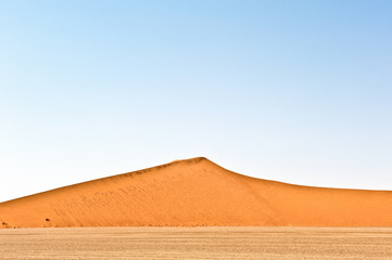 Fototapeta na wymiar Desert Dune Lines.....