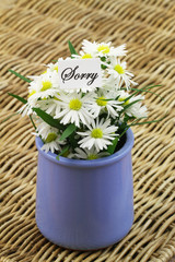 Sorry card with daisy flowers in blue vase on wicker surface
