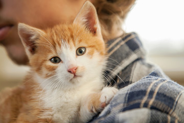 kitten on the shoulder of the boy outdoors
