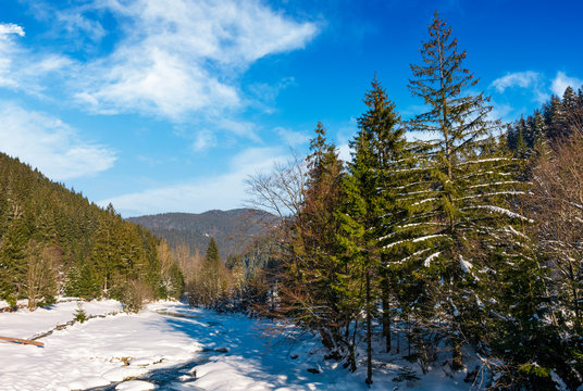 frozen river in forested mountains. beautiful nature scenery on fine winter day