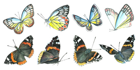 Collection watercolor of flying butterflies.