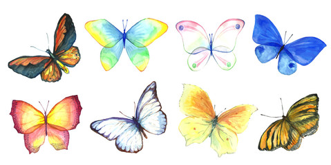 Fototapeta na wymiar Collection watercolor of flying butterflies.