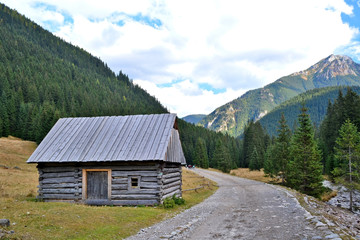 Fototapeta na wymiar Traditional wooden hut in Tatra mountains at Chocholowska valley.