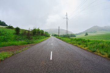 Fototapeta premium Empty asphalt country road passing through green agricultural fields.