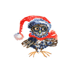 Watercolor Christmas owl in hat. Painting cute cartoon character
