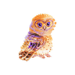 Watercolor Christmas cute owl. Painting cute cartoon character