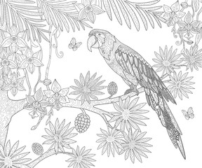 Parrot ara and butterfly at tropical exotic tree and flowers in the jungle, page for adult coloring book in doodle style.