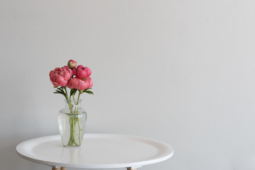 Small bunch of coral peonies in glass vase on round white table against neutral background with copy space