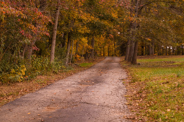 Autumn Fall Thanksgiving Road