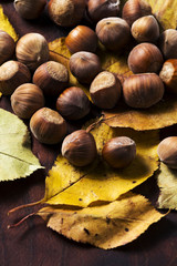 hazelnuts background