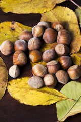 hazelnuts background