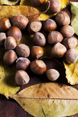 hazelnuts background