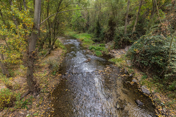 Landscape in the Eresma River, near Segovia. Spain.
