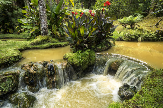 Hot stream in the Terra Nostra Parque, Azores islands. Portugal.