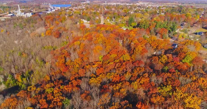 Looking down on forest of breathtaking Autumn colors, Fall splendor, on the edge of small town, aerial flyover. 