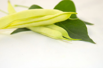 Fresh and crispy yellow beans on a white background.