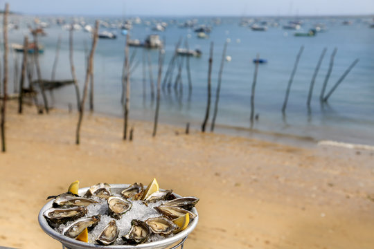 Douzaine d&rsquo;hu&icirc;tres et bord de mer bassin d'arcachon 