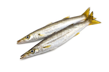 カマス