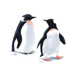 Watercolor two penguins on the snow