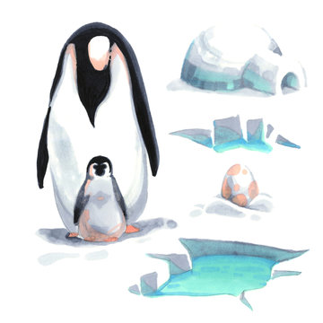 Watercolor penguin and his baby on the snow with ice house sea and egg
