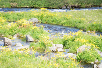 Landschaft rund um den Dynjandi-Wasserfall in den Westfjorden, Island