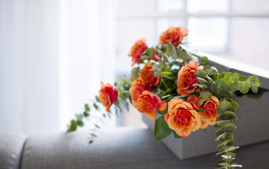 box with roses on a gray sofa near the window in the living room