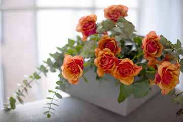 box with roses on a gray sofa near the window in the living room