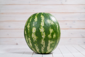 whole watermelon on a white background