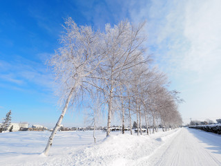 北海道の冬道