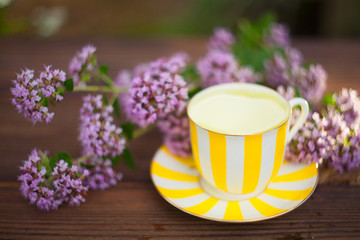 delicious  oregano tea in a beautiful glass bowl on table