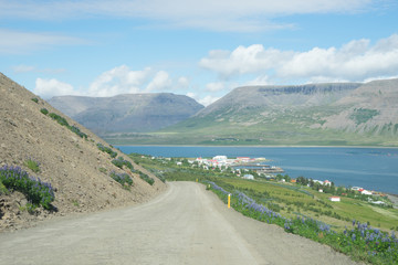 Fototapeta premium Küsten-Landschaft in den Westfjorden, Island